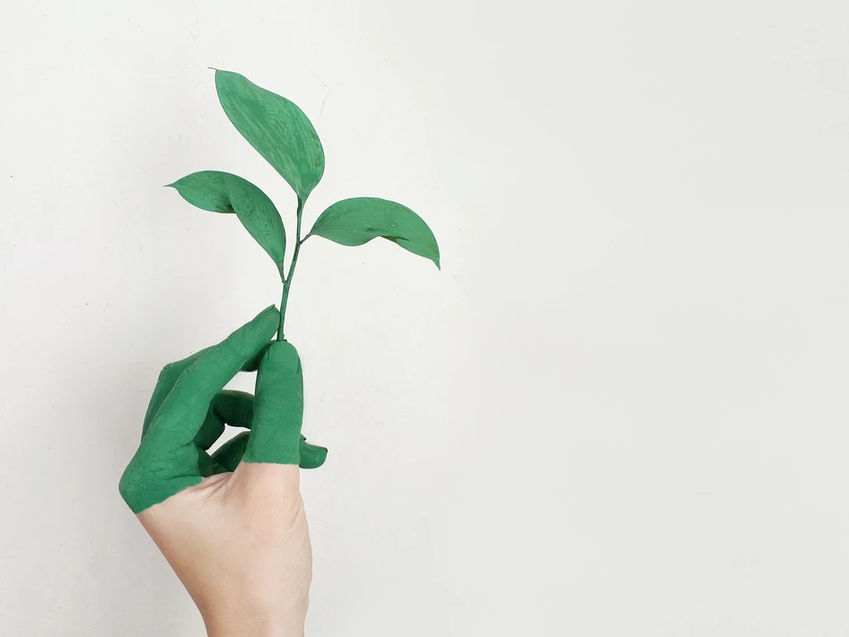 The eco-newbie’s guide to greenwashing