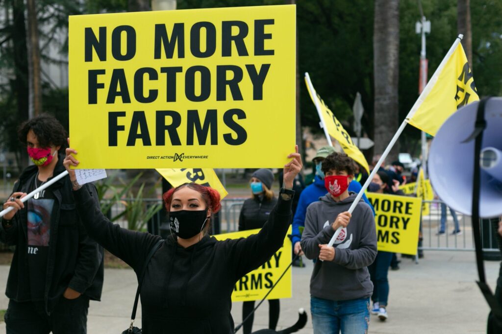 A woman holding a sign for 'no more factory farms' at an animal rights protest.