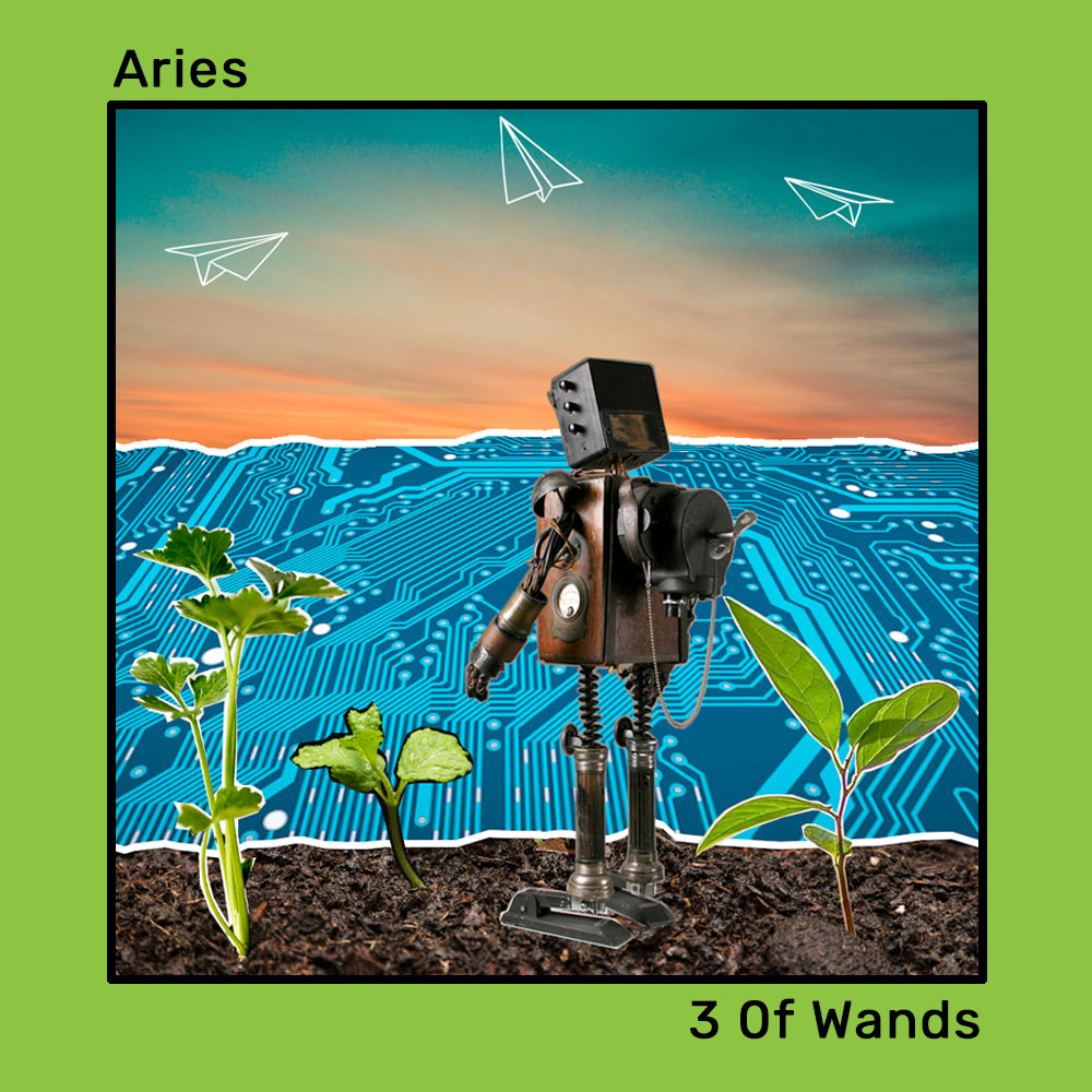 Aries: 3 of Wands The 2024 Tarot guide to fashioning sustainably By Jugal Mody