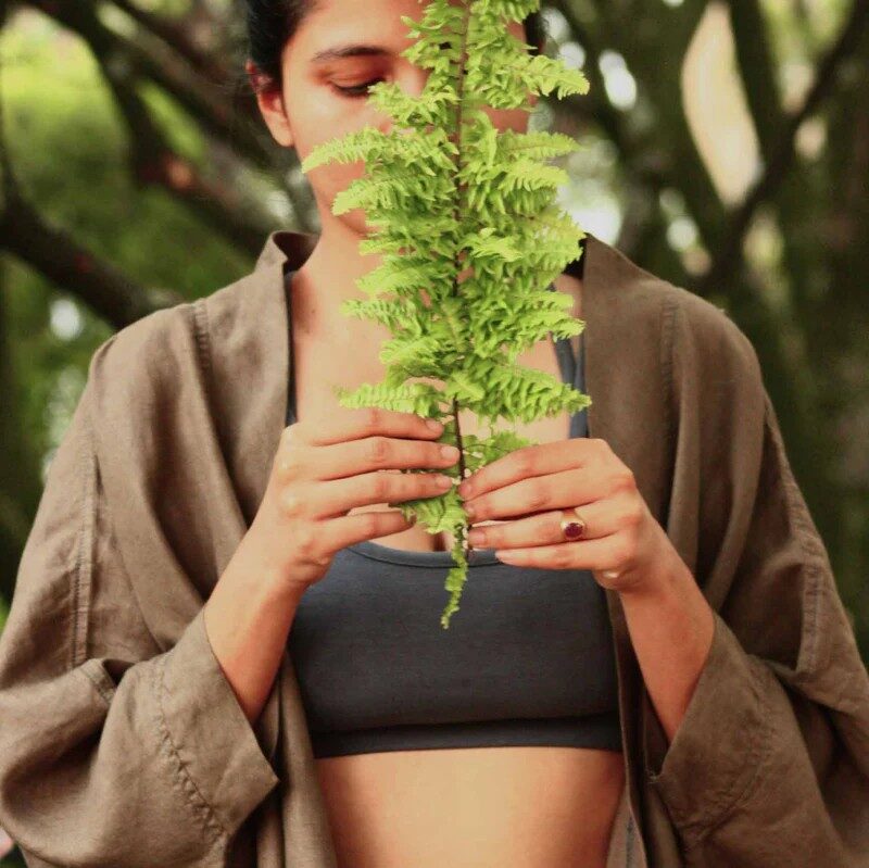 PAYP reccommends Proyog